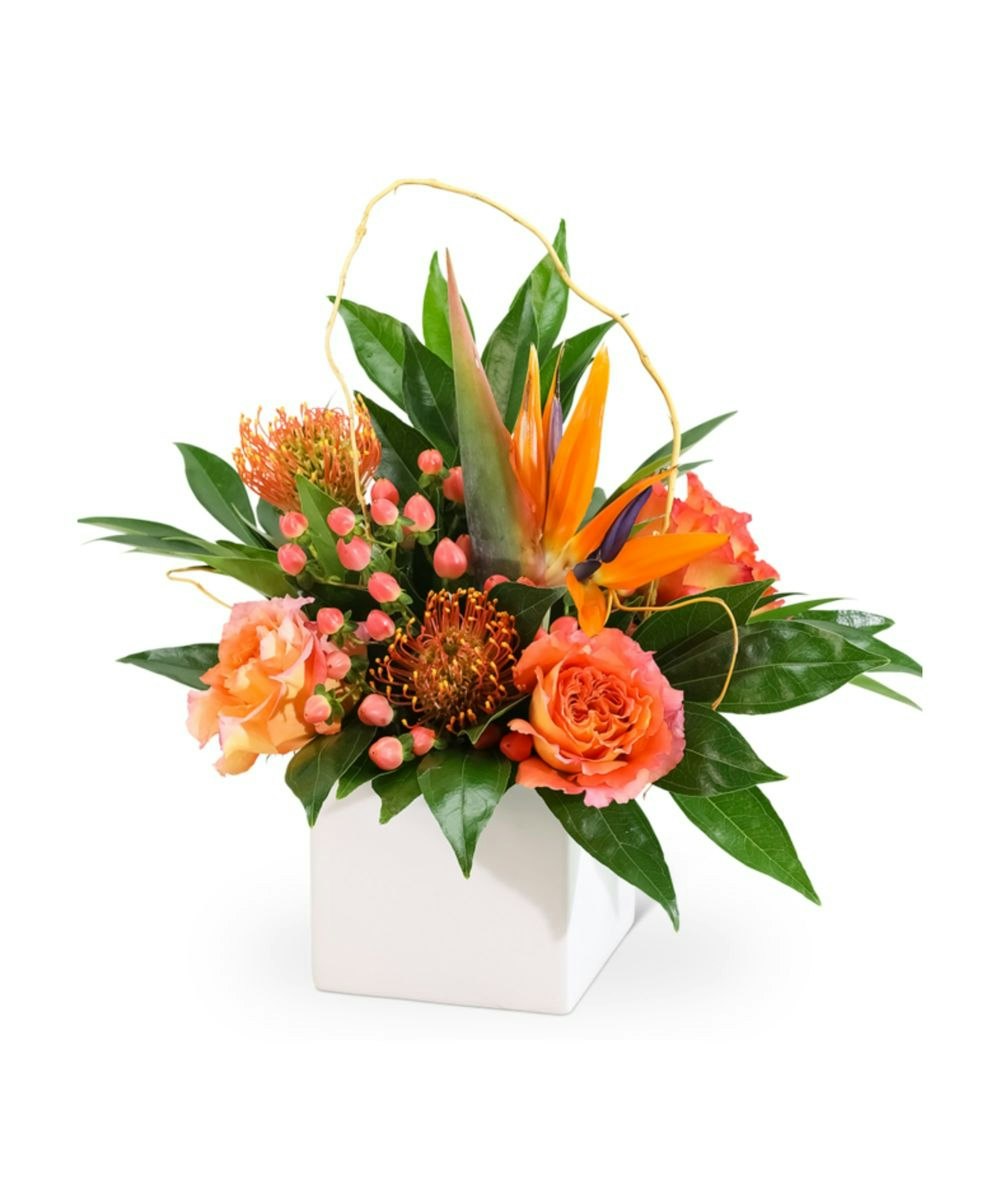 Exotic & Tropical Flowers Grand Rapids SameDay Florist