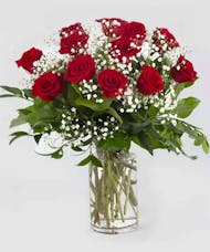 Classic Dozen Roses with Babies Breath