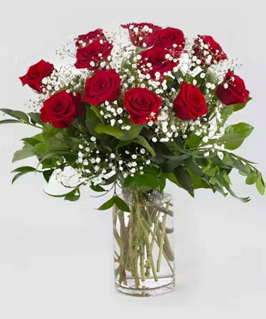 Classic Dozen Roses with Babies Breath