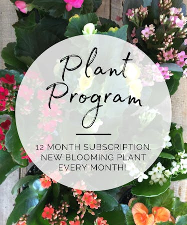 Plant Of The Month Program | New Plant Each Month!
