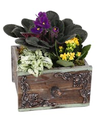 Drawer of Happiness Planter