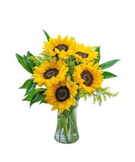 Sprinkle of Sunflowers