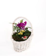 Basket of Spring Planter