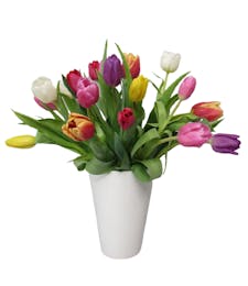Joyful Tulips